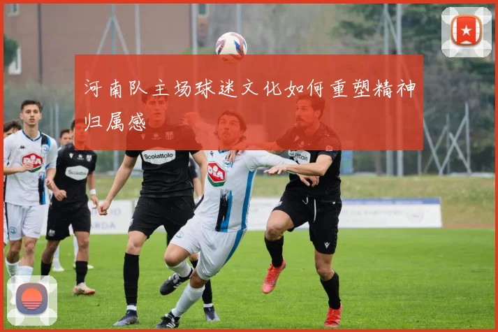 河南队主场球迷文化如何重塑精神归属感