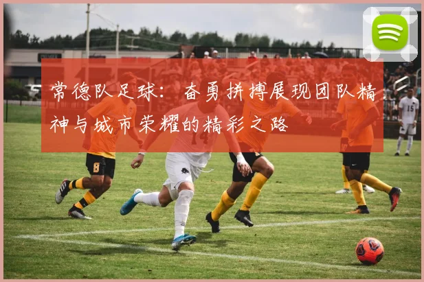 常德队足球：奋勇拼搏展现团队精神与城市荣耀的精彩之路