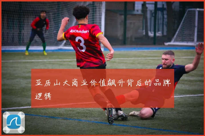亚历山大商业价值飙升背后的品牌逻辑
