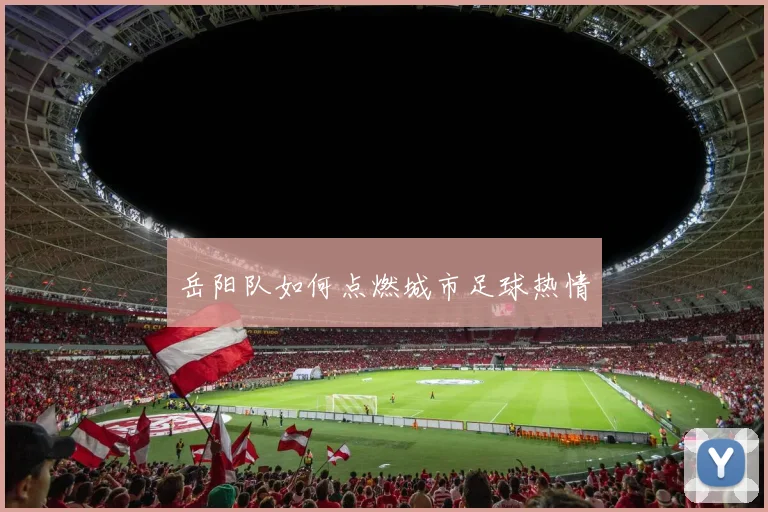 岳阳队如何点燃城市足球热情