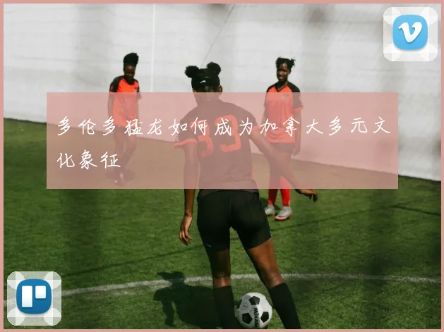 多伦多猛龙如何成为加拿大多元文化象征