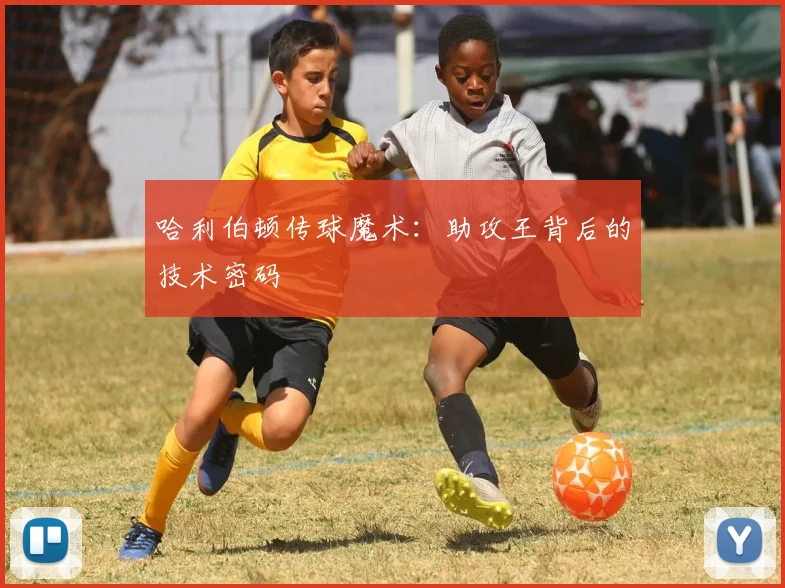 哈利伯顿传球魔术：助攻王背后的技术密码