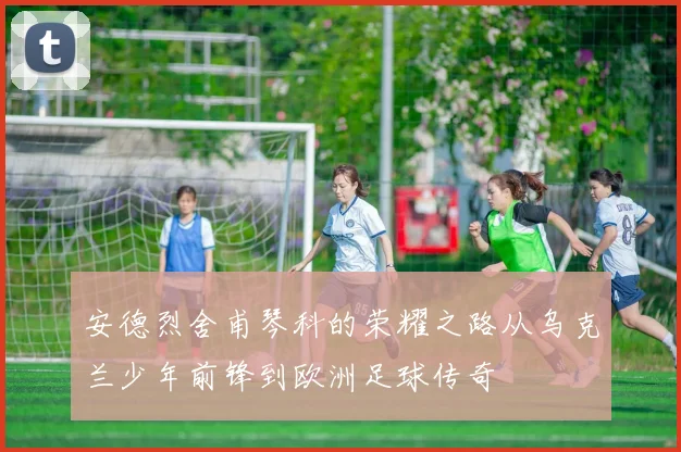 安德烈舍甫琴科的荣耀之路从乌克兰少年前锋到欧洲足球传奇