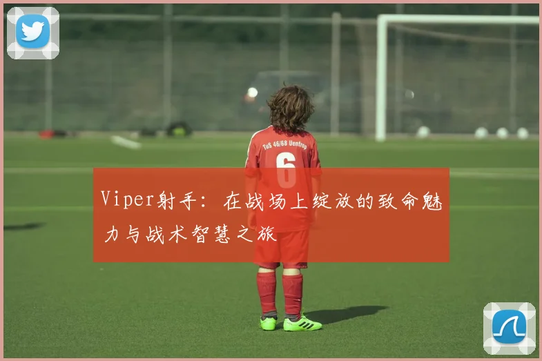 Viper射手：在战场上绽放的致命魅力与战术智慧之旅