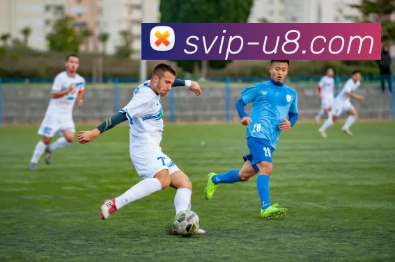 u8国际官网平台生态图