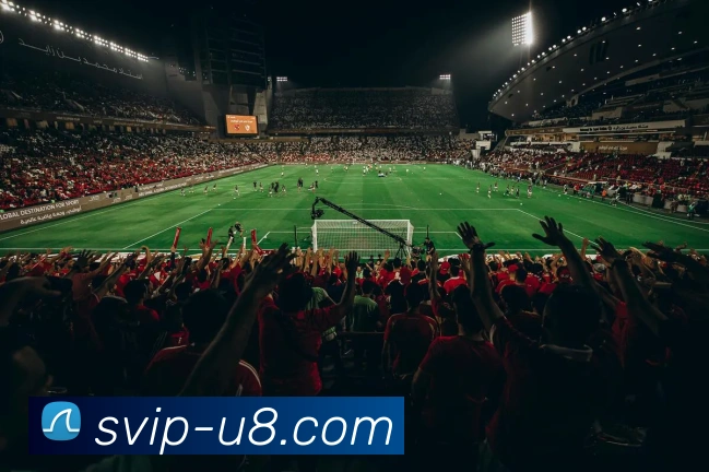 篮球巨星的成长之路：从青涩少年到全球瞩目的传奇人物