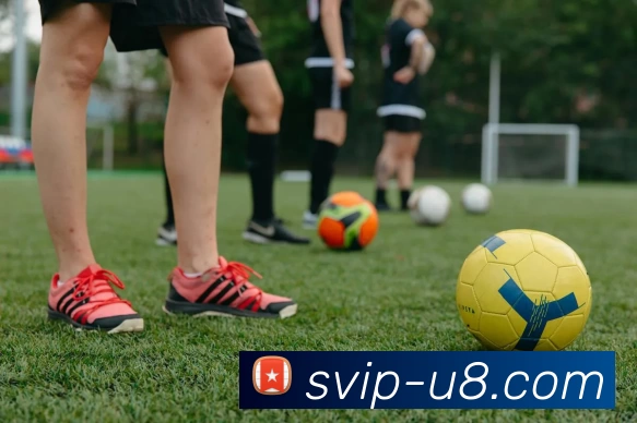 u8国际官网APP 封面图